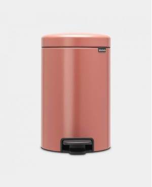 Brabantia Poubelle à Pédale NewIcon