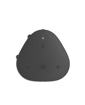 - Sonos Roam 2