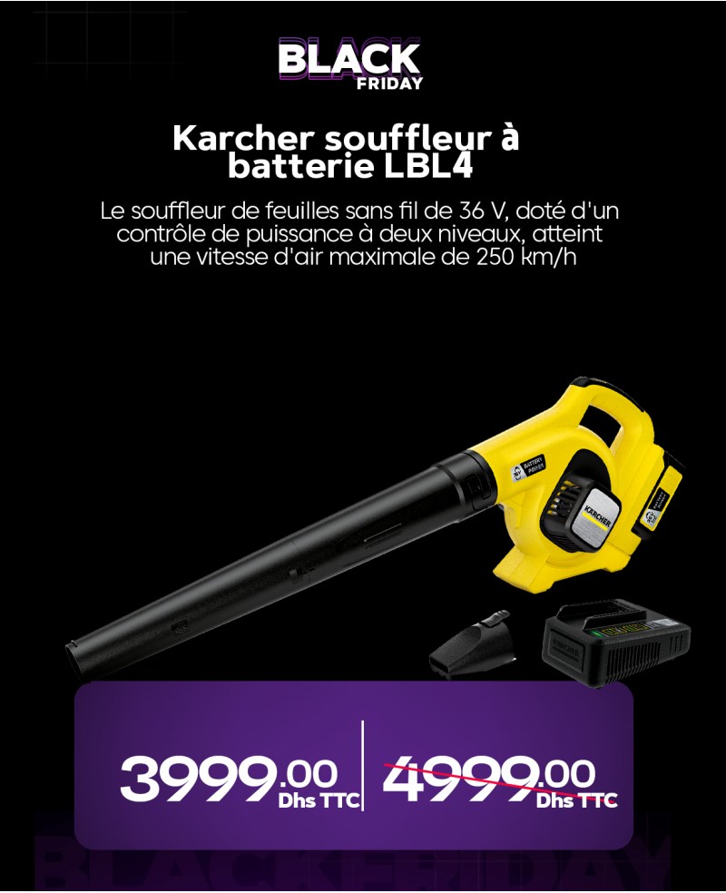 - Karcher souffleur à batterie LBL4