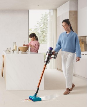 Dyson Cyclone V10 Submarine™
